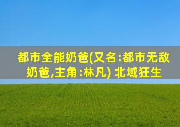 都市全能奶爸(又名:都市无敌奶爸,主角:林凡) 北域狂生